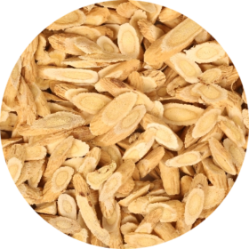 Astragalus Root