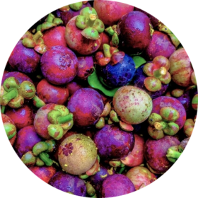 Mangosteen